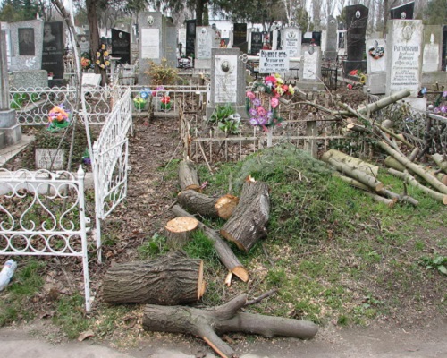 Удаление деревьев на кладбище